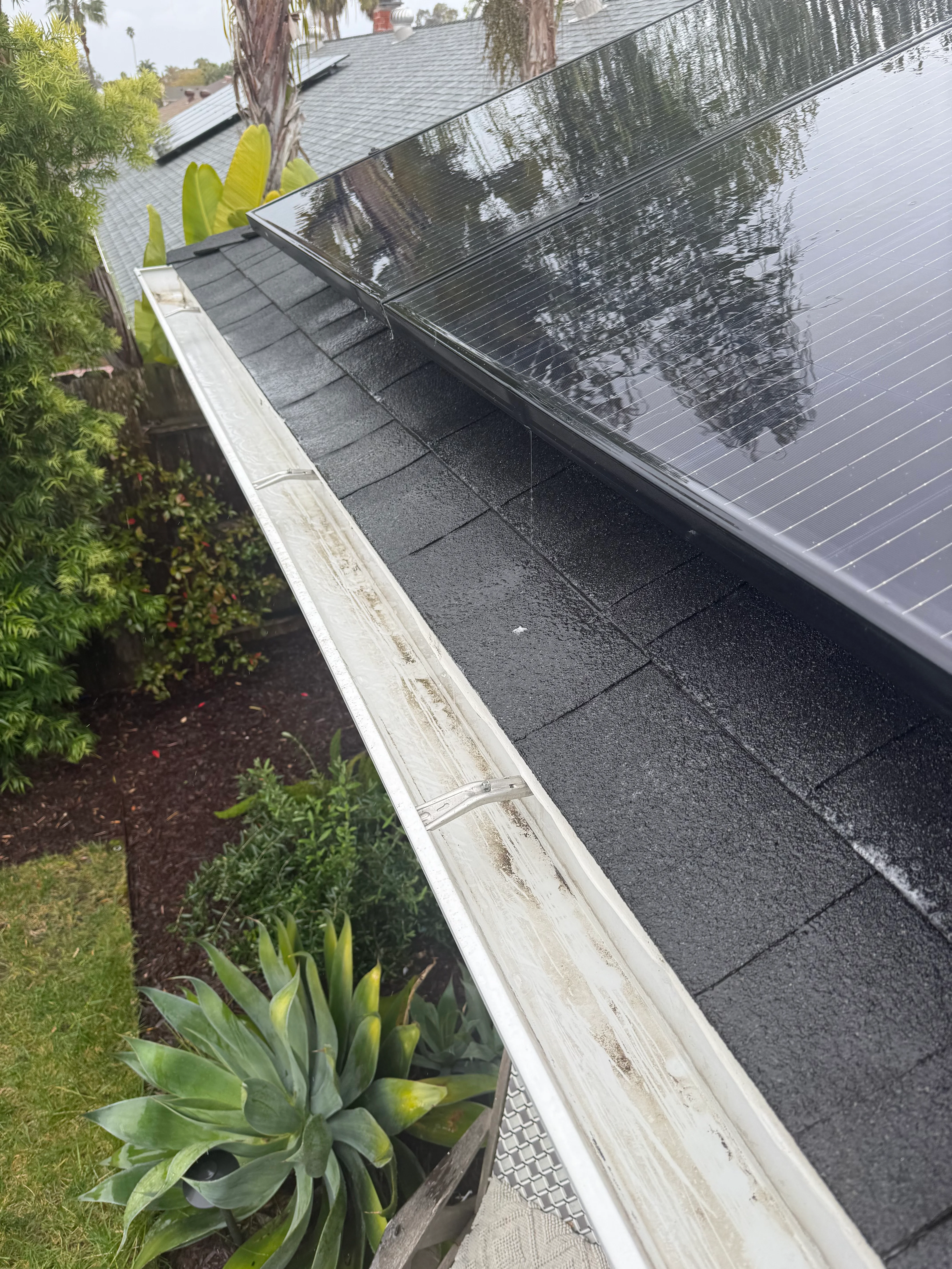 Clean solar panels and white aluminum gutters on residential roof with palm trees