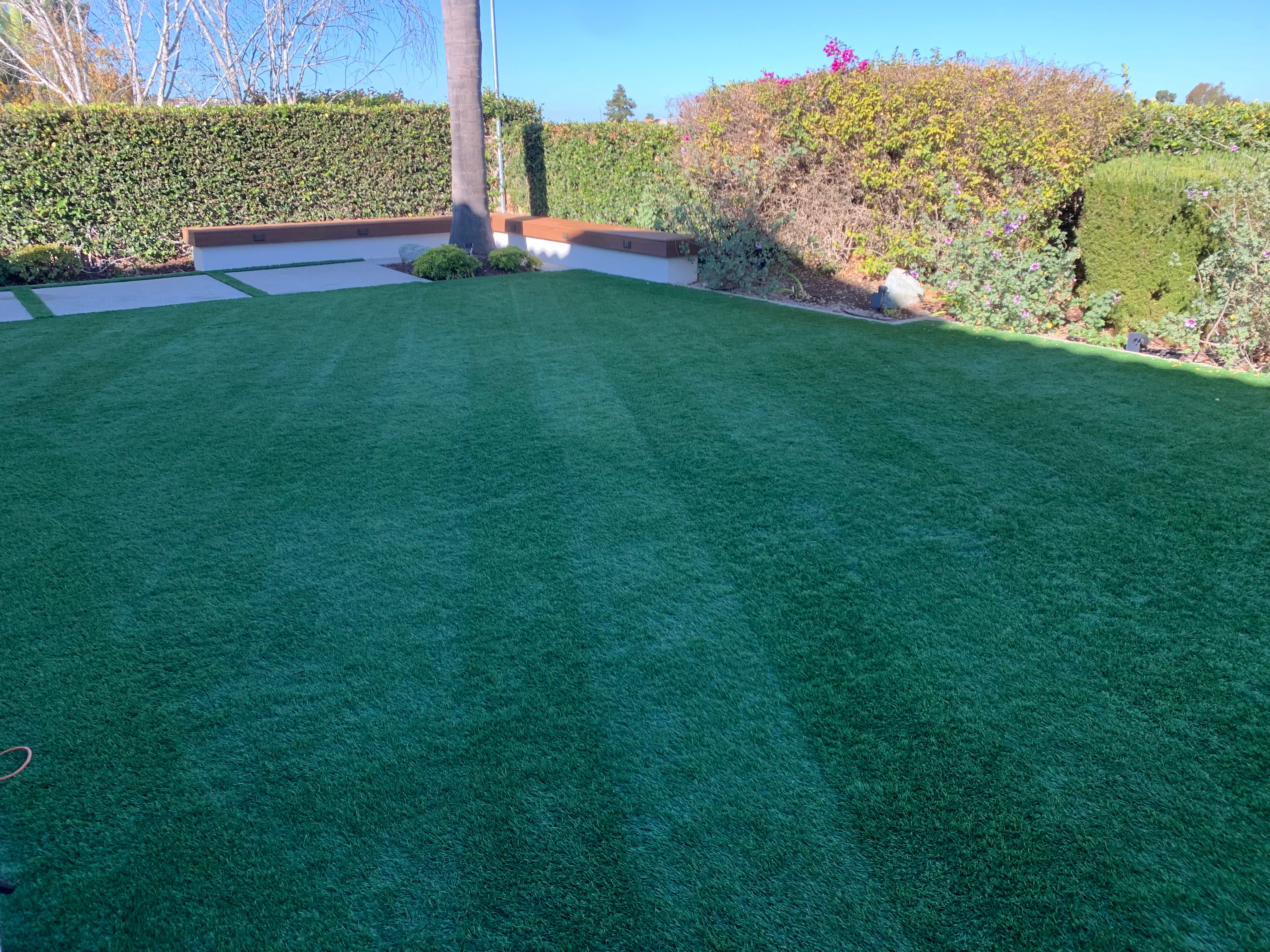 Clean green artificial turf with concrete seating area and mature hedge landscaping